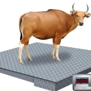 Stainless Steel Precision Weighing Scale.