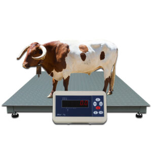 Upgrade your livestock management with our advanced weighing scale, delivering precision and efficiency to your farm.jpg_960x960