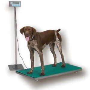 Achieve precise animal weighing with our electronic floor scale