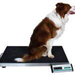 Pet Weighing Scales Kampala