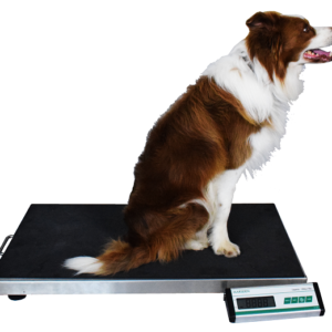 Achieve precise pet weight monitoring with our pet scales.