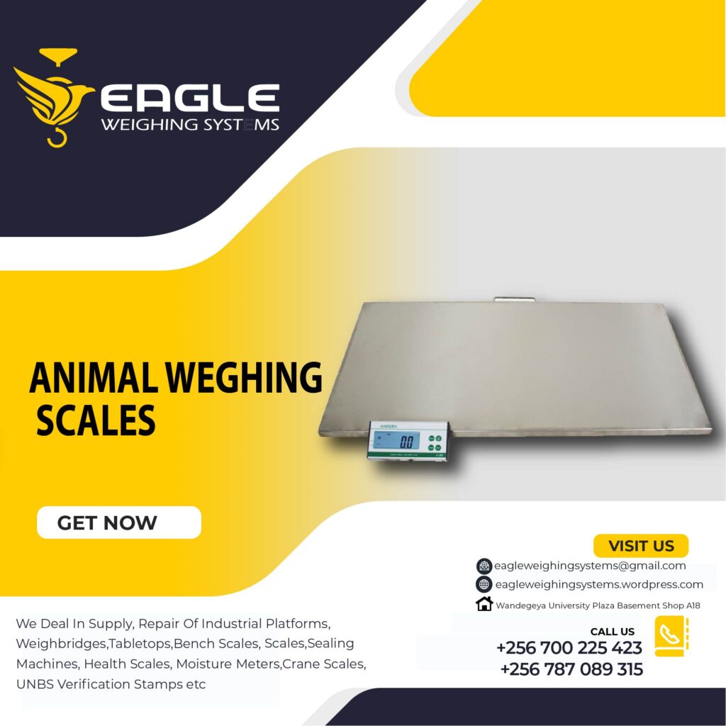 Portable livestock weighing scales.
