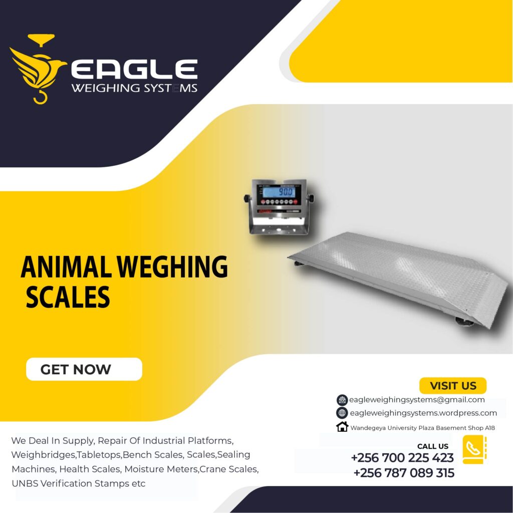 Digital Animal Type Scales.