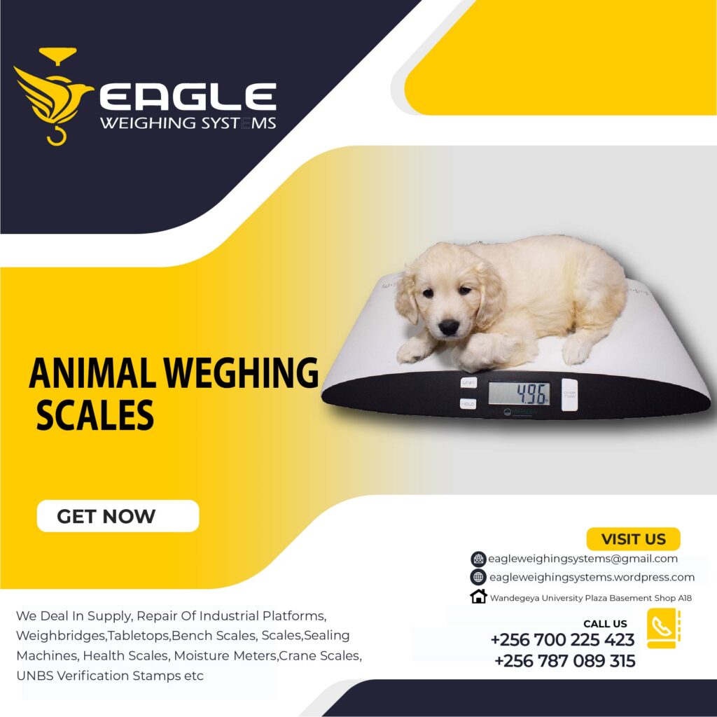 Pet Electronic Scales Suppliers.