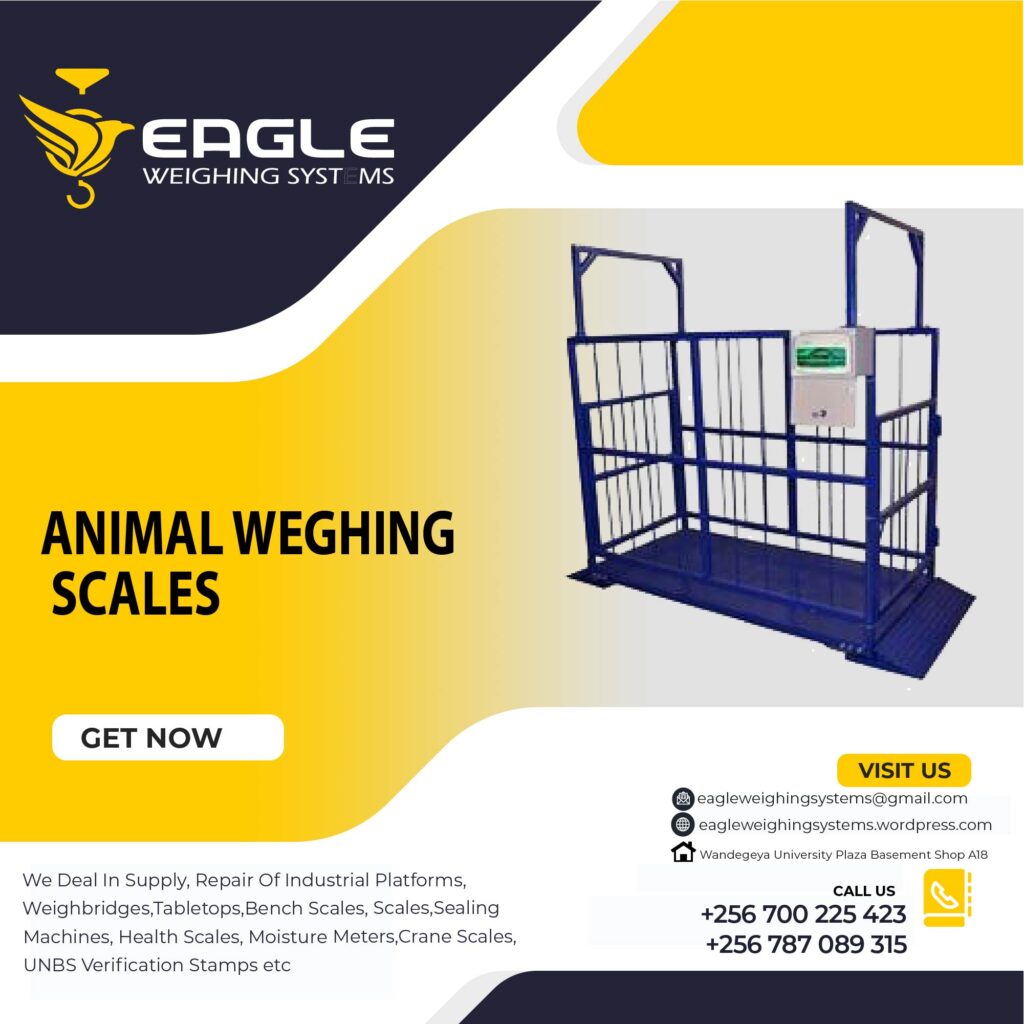 Farm Animal Scales Uganda.