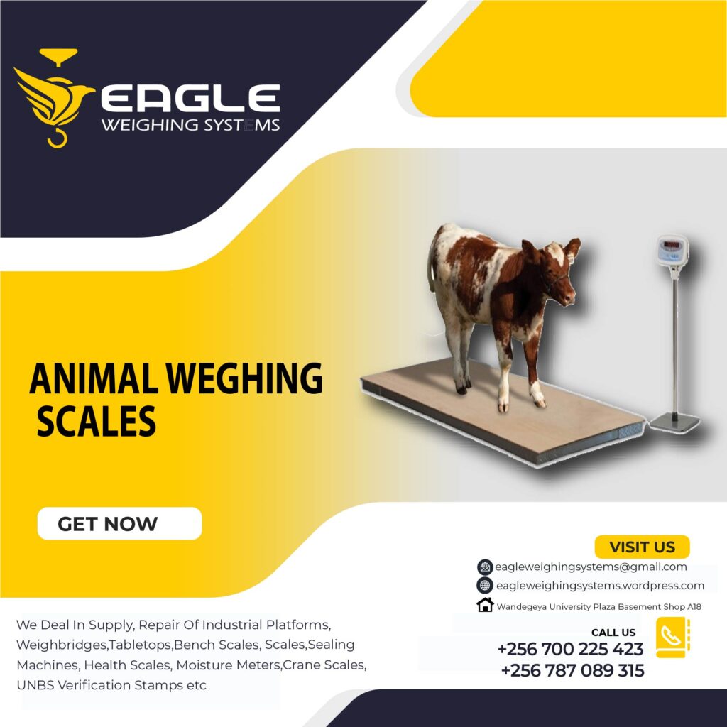 Best Cattle Scales In Uganda.
