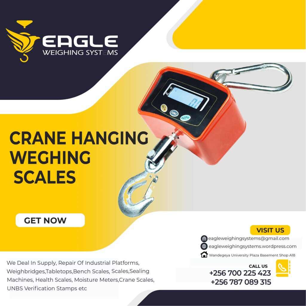 Crane Weighing Scales Price