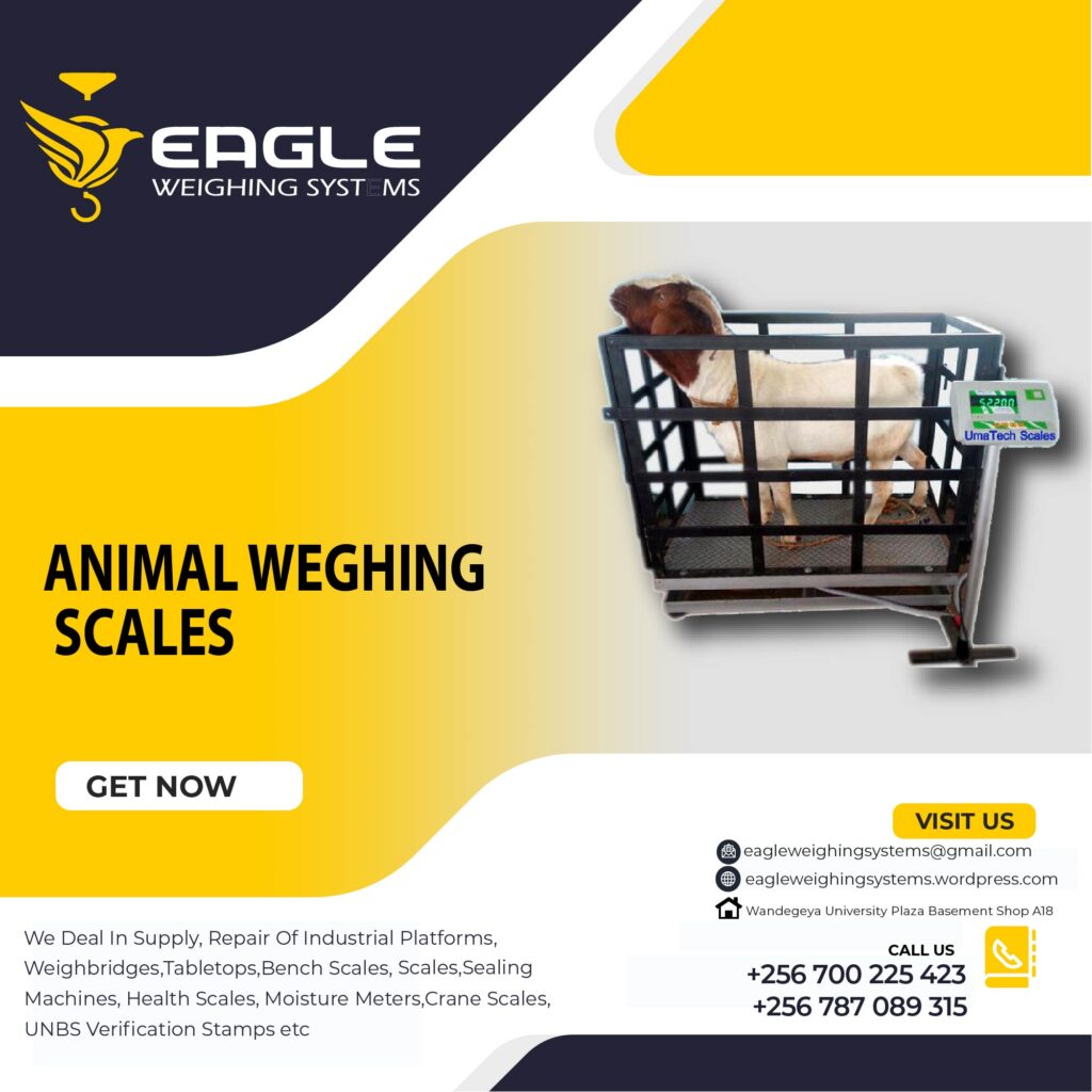 Factory Farm Animal Scales.