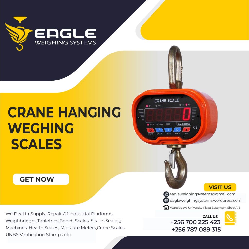 Commercial Crane weighing scales