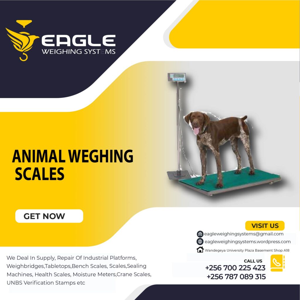 Animal weighing equipment Uganda.