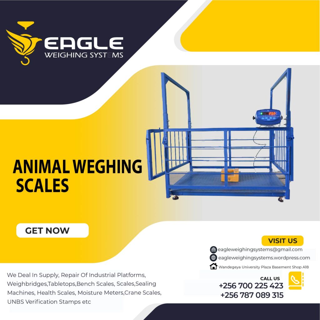 Electronic Animal Scales Uganda.