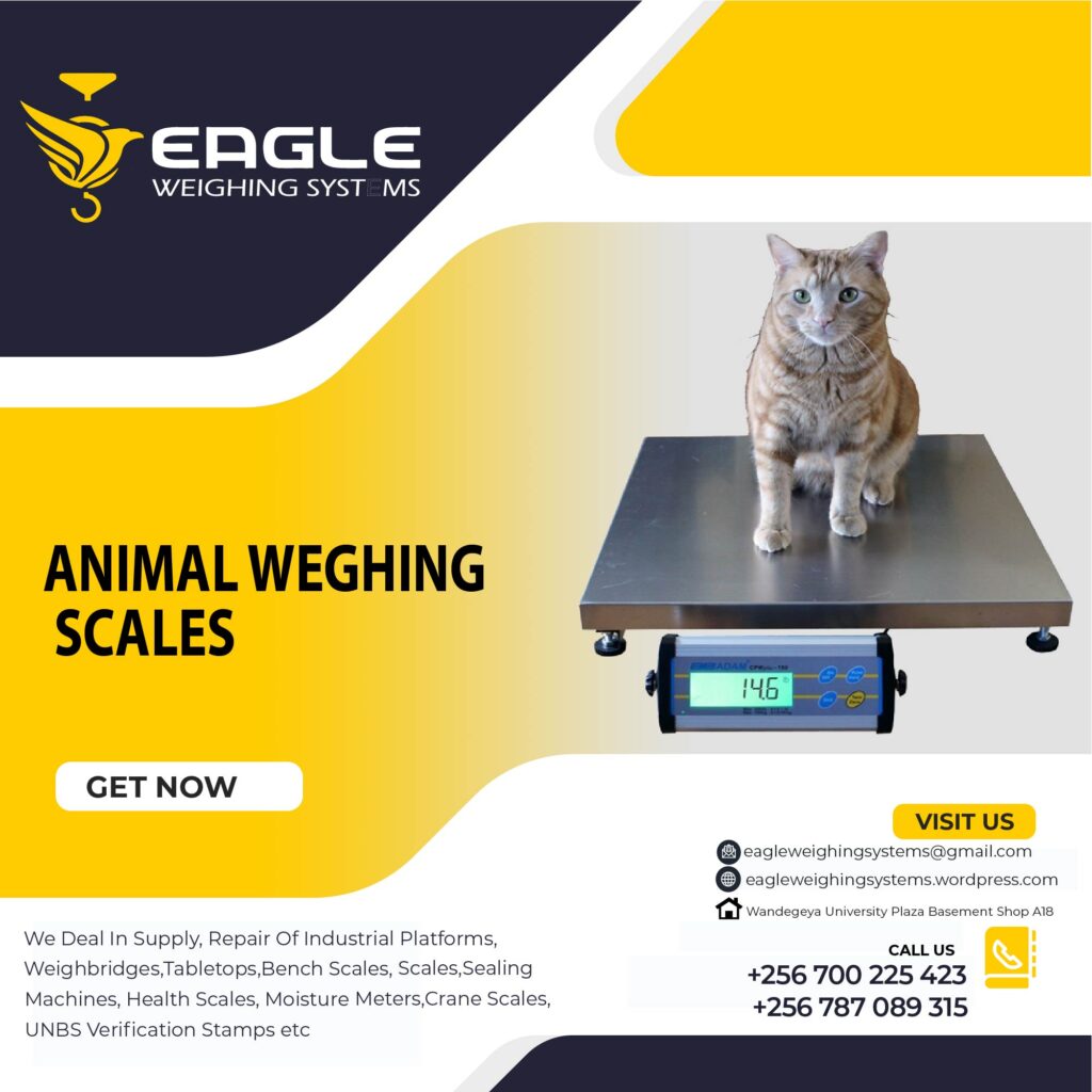 Pet Weighing Scale Equipment