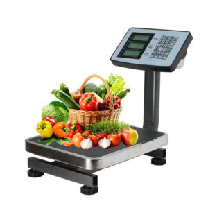 Digital Weighing Small Scales.