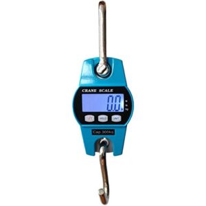 Digital Hanging Weighing Portable Scales