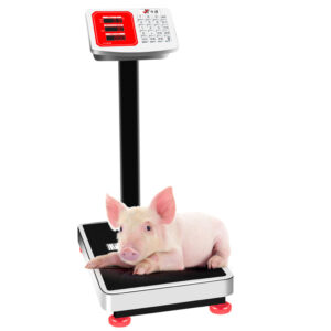 Low Price Electronic Scales.