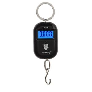 Mini Digital Scale 25Kg Electronic Pocket Luggage Scales