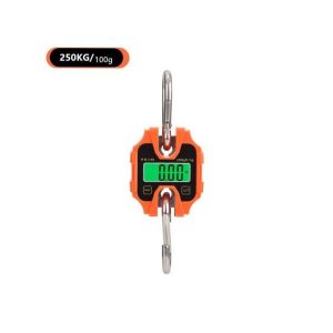 Industrial Detachable Portable Micro Crane Scale 100KG