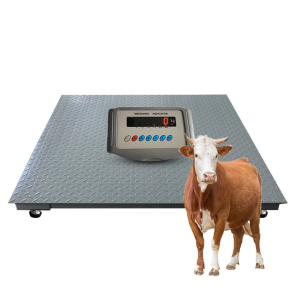 Cattle Weighing Scale Supplier in Uganda