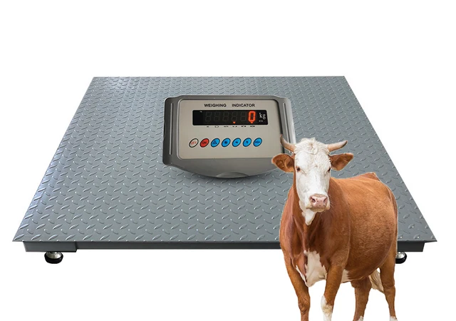 Cattle Weighing Scale Supplier in Uganda Cattle Weighing Scale Supplier in Uganda