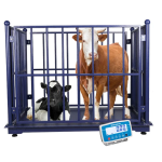 Cattle Platform 2m x 0.8m Scale - Cow Weighing Scale