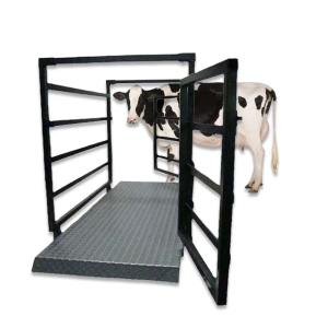 Best Price Of Cattle Scales In Uganda