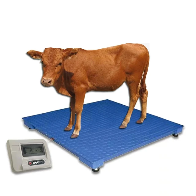 Types of Cattle Weighing Scales in Uganda