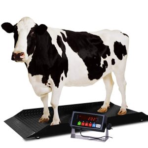 Animal Weighing Scales Supplier in Uganda