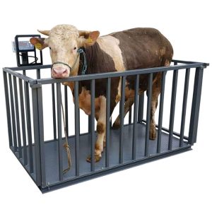 Animal Weighing Scale Prices in Uganda