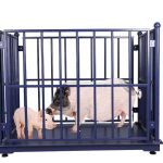 Best weighing scales for pigs in Uganda
