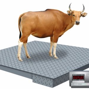 Animal Weighing Scale Prices in Uganda