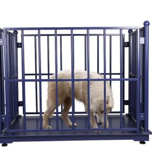Best Pig Weighing Machines for Weaner Development in Uganda