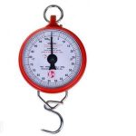 Hook Type 100Kg Weighing Scale